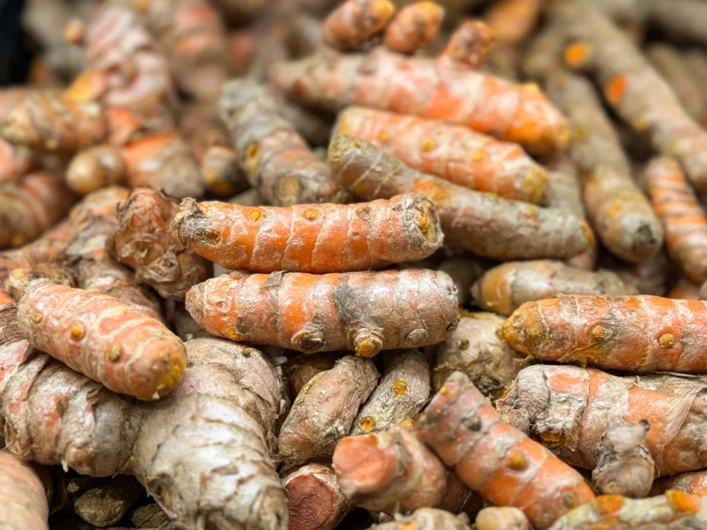 turmeric root turmeric root