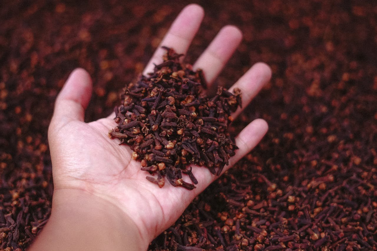 Indonesian Cloves: Quality, Global Market, and Export Opportunities A close-up of a hand holding dried cloves at a market in Malang, Indonesia.